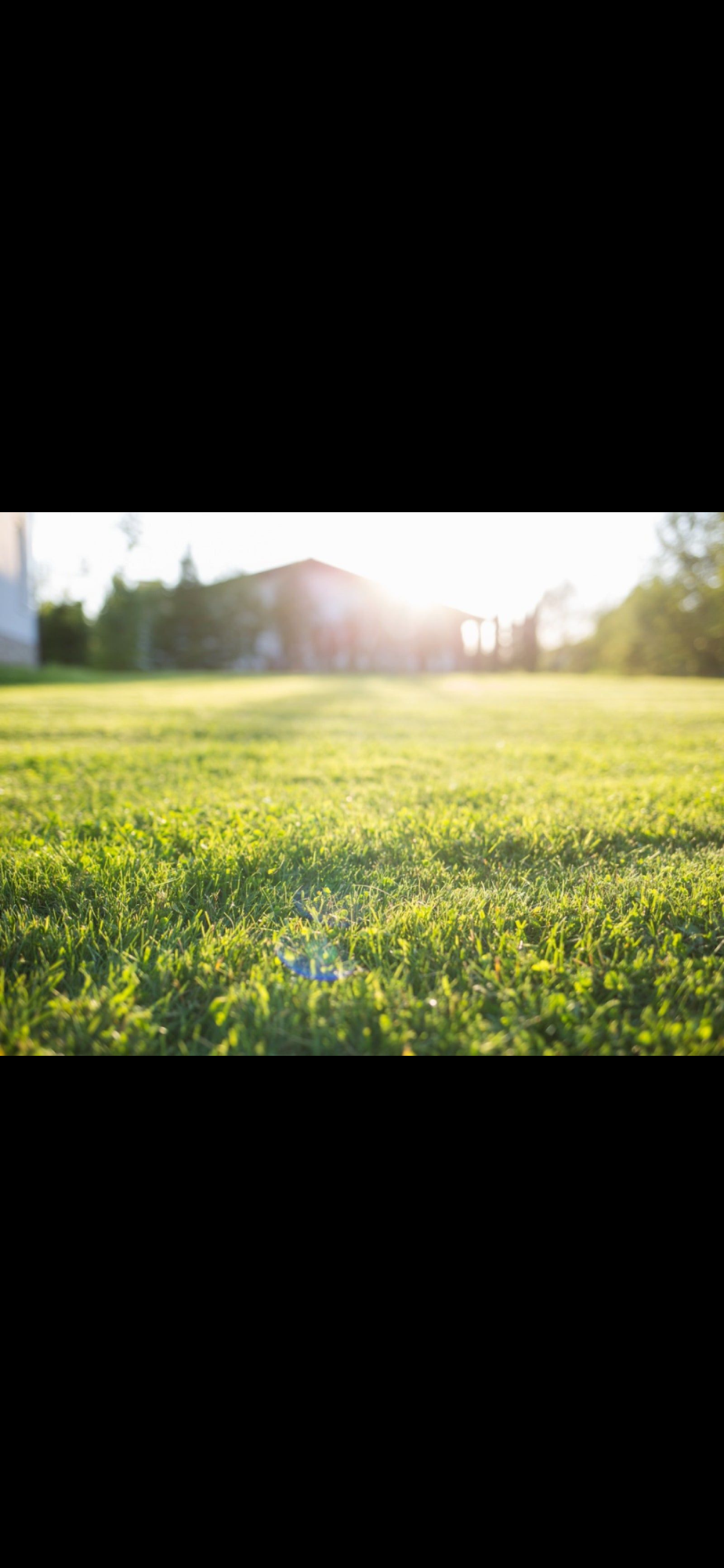 There Is Light Here&nbsp;Too